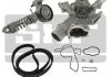 Насос води + комплект ручейковых ремней SKF VKMC352131