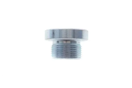 Пробка піддону автомобіля Fischer Automotive One (FA1) 257871001