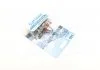 Лампа розжарювання H8 WhiteVision ultra 12V 35W PGJ19-1 (+60) (3800K) 1шт. blister (вир-во Philips) PHILIPS 12360WVUB1 (фото 3)