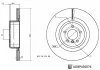 TARCZA HAM. BMW T. X5/X6 2,0-4,4 09-19 BLUE PRINT ADBP430076 (фото 3)