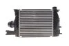 Интеркулер Duster Renault RENAULT 144967634R (фото 4)