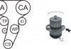 Насос води + комплект зубчатого ремня AIRTEX WPK177403 (фото 1)