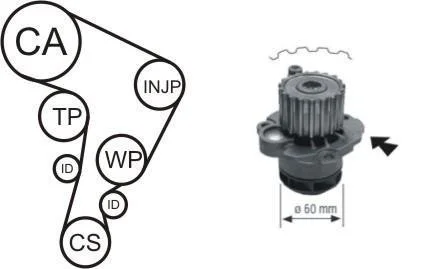 Комплект (ремінь+ролик+помпа) AIRTEX WPK177701
