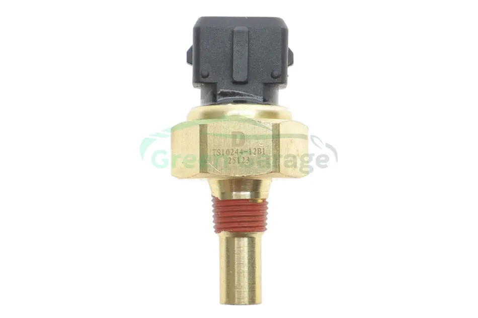 Датчик температури рідини охолодження DELPHI TS1024412B1 (фото 1)