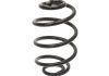 Suspension springs rear axle STARLINE PRTH347 (фото 1)