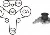 Насос води + комплект зубчатого ремня WPK159601