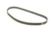 Комплект ГРМ (ремінь + ролик) SUZUKI INA 530059910 (фото 2)