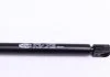 Амортизатор кришки багажника MAGNETI MARELLI 430719021600 (фото 4)