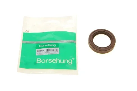 Сальник BORSEHUNG B18729