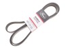 PASEK WIELOKLINOWY DB S-SERIES 13-17 GATES 6PK2518XS (фото 2)