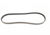 PASEK WIELOROWKOWY 4PK869 BMW X5 4,8 GATES 4PK869SF (фото 4)