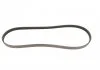 PASEK WIELOROWKOWY 4PK869 BMW X5 4,8 GATES 4PK869SF (фото 4)