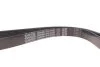 Ремінь поліклиновий 6PK1245 1,4D4-D DAYCO 6PK1245DT (фото 4)