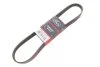 PASEK WIELOKLINOWY CITROEN C2 05-09 GATES 6PK1029EST (фото 2)