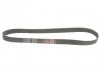 PASEK WIELOKLINOWY BMW 3 SERIES 20- GATES 8PK1162EST (фото 4)