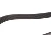 PASEK WIELOKLINOWY NISSAN NP300 15- GATES 7PK1663 (фото 3)