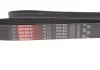 PASEK WIELOKLINOWY NISSAN NP300 15- GATES 7PK1663 (фото 4)