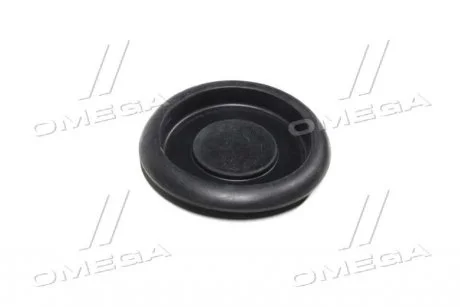 Заглушка кузова двері Toyota Lexus Daihatsu (вир-во Toyota) TOYOTA 9095001960