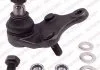SWORZEN WAH.TOYOTA AVENSIS 09- L/P DELPHI TC2586 (фото 1)