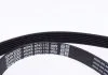 ZESTAW PASKA PK. CITROEN ZX 92-98 DAYCO KPV451 (фото 4)