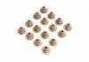 Сальник клапана IN/EX (SET) OPEL Z16XEP (16PCS) (вир-во) PAYEN HR5087 (фото 1)