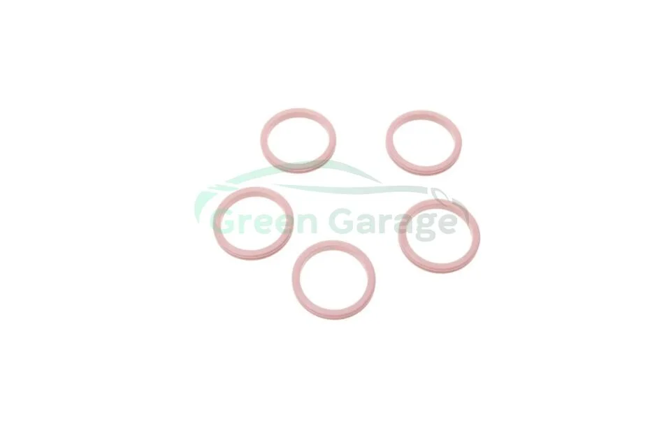 Кільце ущільнююче (O-ring) MAGNETI MARELLI 007950024400 (фото 1)