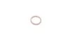 Кільце ущільнююче (O-ring) MAGNETI MARELLI 007950024400 (фото 3)
