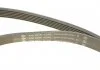 ZESTAW PASKA WIELOROWK. BMW 2.0D INA 529051010 (фото 4)