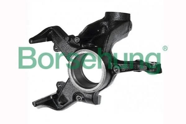 Wheel bearing housing, left (OE) BORSEHUNG B17941 (фото 1)