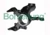 Wheel bearing housing, left (OE) BORSEHUNG B17941 (фото 1)