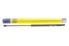 Амортизатор багажника NISSAN QASHQAI (J10E) (вир-во Magneti Marelli кор.код. GS0956) MAGNETI MARELLI 430719095600 (фото 1)