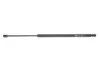 Амортизатор багажника HONDA CR-V III (вир-во Magneti Marelli кор.код. GS0708) MAGNETI MARELLI 430719070800 (фото 1)