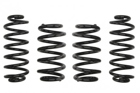 Комплект ходовой части, пружины EIBACH E10150130122