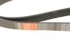 Пасок поліклиновий 7PK1647 BMW GATES 7PK1645 (фото 4)