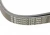 Комплект (ремінь+ролики) CONTITECH 6PK2404K1 (фото 17)