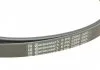 Поликлиновой ременный комплект CONTITECH 6PK2260K1 (фото 10)