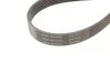 Комплект доріжкового ремня SKF VKMA31098 (фото 4)