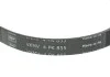 Комплект доріжкового ремня SKF VKMA31128 (фото 4)