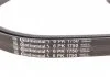 Поликлиновой ременный комплект CONTITECH 6PK1750K1 (фото 7)