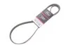 PASEK WIELOKLINOWY AUDI A6 18- GATES 6PK1437EST (фото 2)