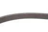 PASEK WIELOKLINOWY AUDI A6 18- GATES 6PK1437EST (фото 3)