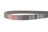 PASEK WIELOKLINOWY AUDI A6 18- GATES 6PK1437EST (фото 4)