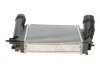INTERCOOLER RENAULT 1,6DCI 15- NRF 309078 (фото 3)