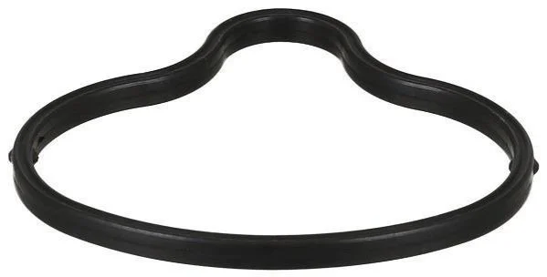 Прокладка впускного колектора BMW 5 (E60), 5 (E61), 6 (E63), 6 (E64) 5.0 09.04-12.10 ELRING 727920 (фото 1)