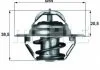 Термостат системи охолодження MAHLE / KNECHT TX387D (фото 1)
