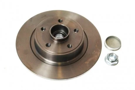 Диск гальмівний з підшипником DELPHI BG9026RS