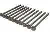 Комплект болтов головки блока цилиндров BMW B47 C20/B47 D20 M12x1,5x200 10шт (пр-во Elring) ELRING 233370 (фото 1)