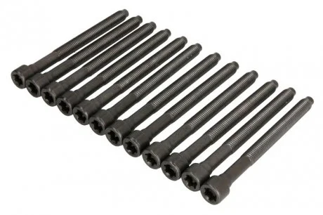Комплект болтов головки цилидра VW 2.5i BGP/BGQ/BPR/BPS/BTK/CBTA (пр-во Elring) ELRING 005610