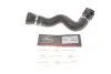 PRZEWУD CHЈODNICY BMW 5 10-13 GATES 053645 (фото 1)