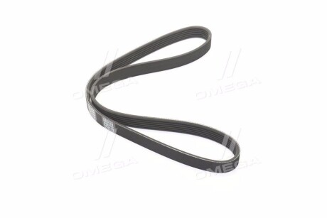 Пасок поліклиновий 6PK975/976 DENCKERMANN 6PK976